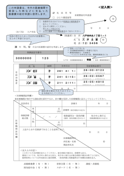＜記入例＞