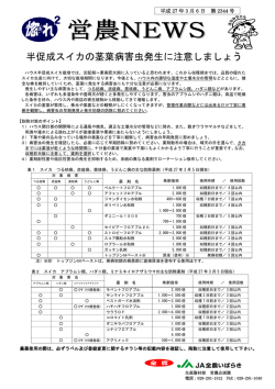 半促成スイカの茎葉病害虫発生に注意しましょう
