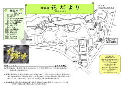 植物園 花 だ よ り