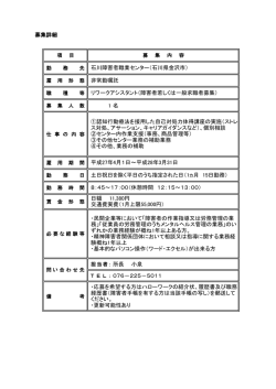 詳細情報 (PDF 111KB)