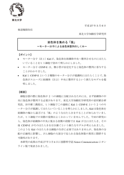 詳細（プレスリリース本文）