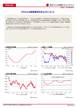 ブラジルの政策金利引き上げについて - 損保ジャパン日本興亜アセット