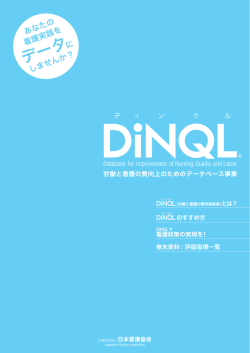 DiNQL事業紹介冊子[PDF17.9MB]