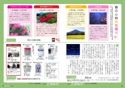 今月のこばなび (PDFファイル/1.16メガバイト)