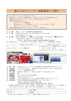 チラシ・申込書【PDF形式 228KB】