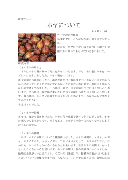 ホヤについて