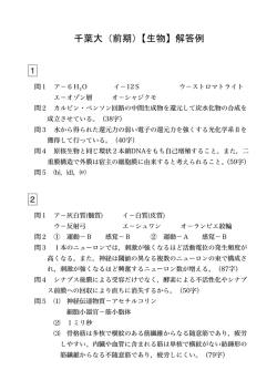 解答PDFダウンロード