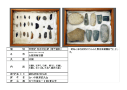 女館貝塚石器 [302KB pdfファイル]