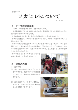 フカヒレについて