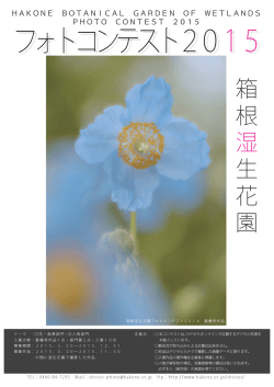 フォトコンテスト2015