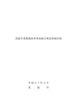 真庭市多数傷病者事故総合救急体制計画 平成27年3月 真 庭 市