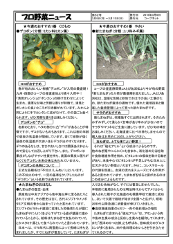 プロ野菜ニュース 第52号 2015年3月6日発行