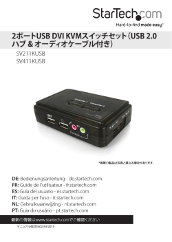 2ポートUSB DVI KVMスイッチセット（USB 2.0 ハブ