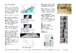 製品名 パームライン - パームソナーとパームチップ、パームライン