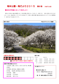 園内の梅 最新の開花情報（3月5日） 玉垣枝垂、見驚、白牡丹、玉牡丹