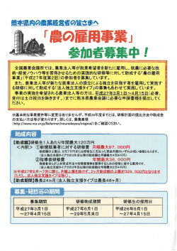 募集チラシ