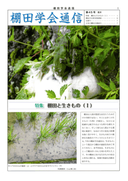 棚田学会通信 倉上`ゝ