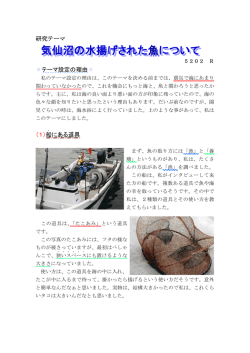 気仙沼の水揚げされた魚について