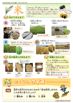 みなさんは、 「菜」を量べていますか?