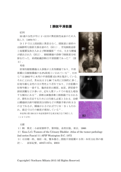 Ⅰ膀胱平滑筋腫 （PDF）
