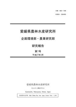 表紙＆目次