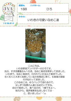 認定No.188 ひろさん「いわきの可愛いなめこ達」