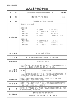 公共工事等発注予定表（北沼公園船着場整備及び拡張部整備工事）