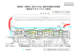 福島第一港湾内、放水口付近、護岸の詳細分析結果 （護岸