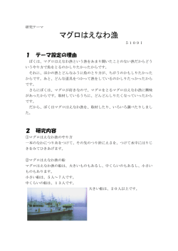 マグロはえなわ漁