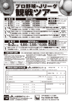 東北楽天イーグルスを応援しよう！プロ野球観戦