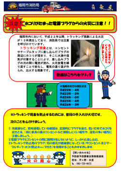 ホコリがたまった電源プラグからの火災に注意！