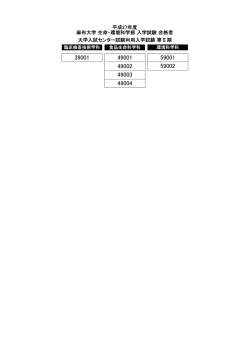 （第II期）合格者：PDF（32KB）