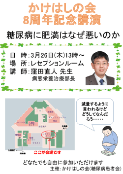 ポスター[PDF：284 MB]