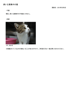 飼い主募集中の猫