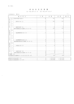 財務諸表（平成25年度）
