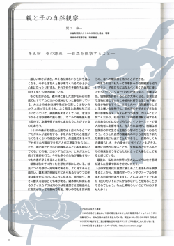 理科教諭 関口伸一のコラム・第五回（雑誌「SCHOOL」に連載中）（PDF）