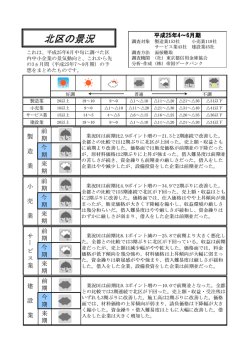 北区の景況（ダイジェスト版）平成25年4