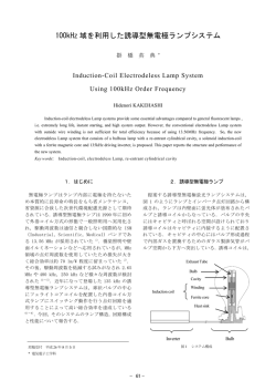 100kHz 域を利用した誘導型無電極ランプシステム