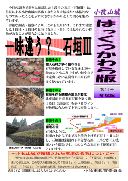 （第11号） （PDF 625.6KB）