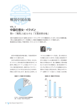 解剖中国市場