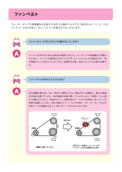 ファンベルト