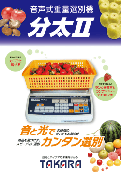 分太2_おもて