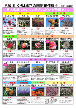 2015 くりはま花の国開花情報
