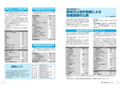 新地方公会計制度による 財務書類の公表