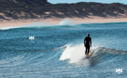 HOMME - AXXE Classic Wetsuits