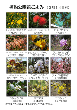 植物公園花ごよみ （3月14日号）