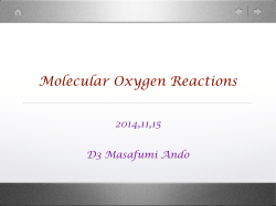 Molecular Oxygen Reactions（PDFファイル）