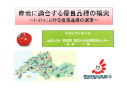 産地に適合する優良品種の模索～トマトにおける優良品種の選定
