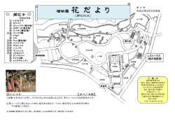 植物園 花 だ よ り