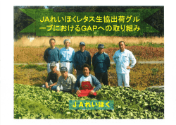 JAれいほくレタス生産出荷グループにおけるGAPへの